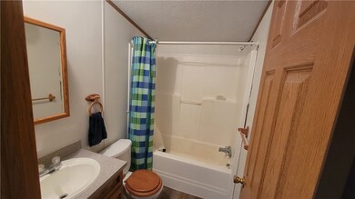 One of the  main level bathrooms