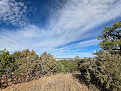 0 Rugby Mines Rd unit 138, Aguilar, CO 81020 - photo 6