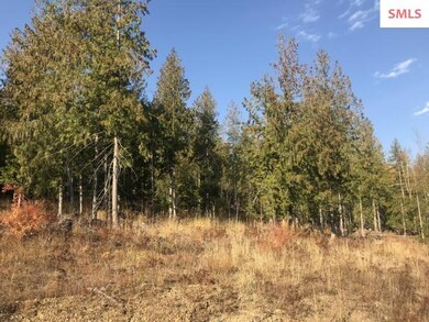 NKA Audrey Ln, Sagle, ID 83860 - photo 3