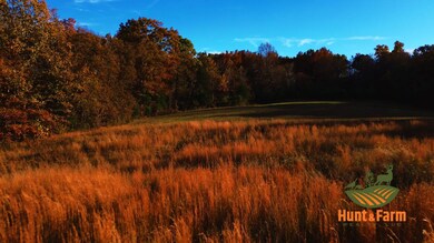 000 Garden of the Gods Rd, Herod, IL 62947 - photo 7