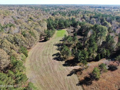 DJI_0336