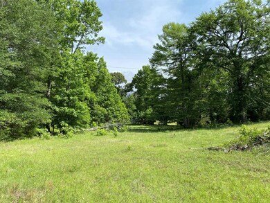 0 County Rd 285 unit 20086682, Tyler, TX 75707 - photo 6