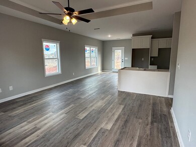 3810 County Road 3304, Troy, AL 36079 - photo 2