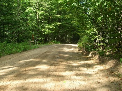 0 White Ash Trail unit (Parcel 64) 302957, Vanderbilt, MI 49795 - photo 6