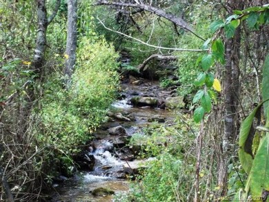 0 Little Creek Rd unit 3531341, Burnsville, NC 28714 - photo 5