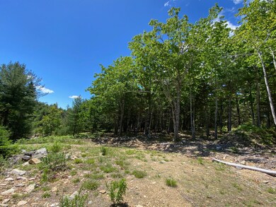 IMG_0767