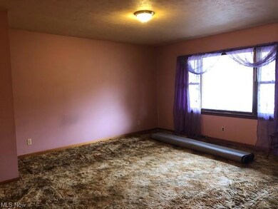 10330 Rischel Rd, Wadsworth, OH 44281 - photo 4