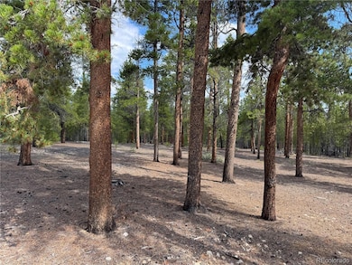 719 Peakview unit 352A, Twin Lakes, CO 81251 - photo 2