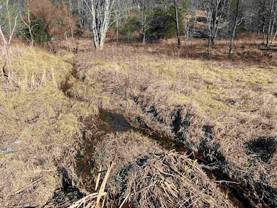 TBD Pilot Rd, Christiansburg, VA 24073 - photo 4