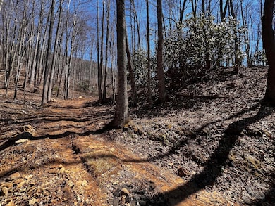 0 Rocky Face Dr unit RF-2, Canton, NC 28716 - photo 2