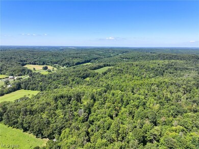 0 Co Road 3364 unit 4486126, Loudonville, OH 44842 - photo 7