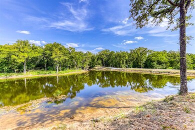 1099 Perkins Rd, Poolville, TX 76487 - photo 3