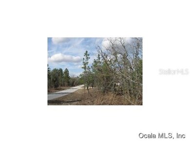 0 SW Hilliard Ave unit 422642, Dunnellon, FL 34431 - photo 3