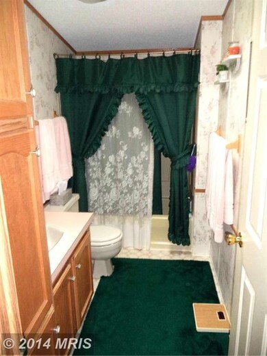 217 John Brown Farm Ct, Harpers Ferry, WV 25425 - photo 6