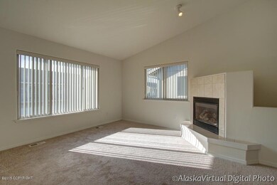 Gas Fireplace in Living Room