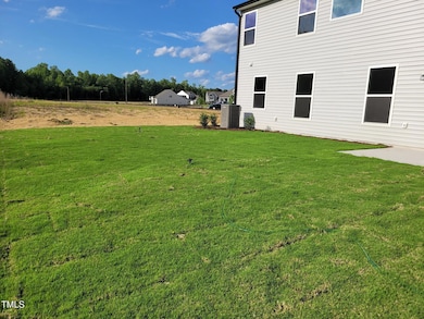 EF 31 Backyard 5-18