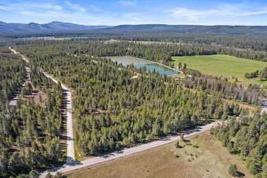 4015 Black Pine Way, Springdale, WA 99173 - photo 6