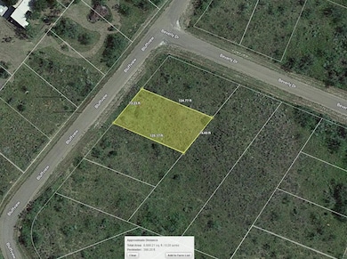 Bluff View unit Fritch TX 79036, Fritch, TX 79036 - photo 7