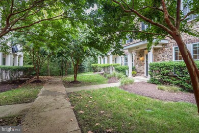 24677 Buttonbush Terrace, Stone Ridge, VA 20105 - photo 3