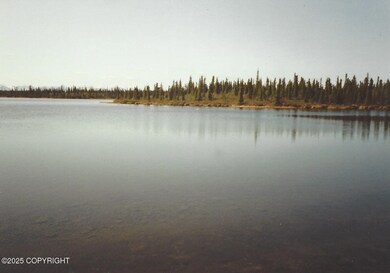 000 Lake Louise Rd, Glennallen, AK 99588 - photo 3