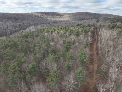 State Route 267 Lot unit WP001, Friendsville, PA 18818 - photo 3