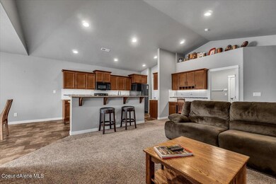Open Concept Vaulted Ceiling