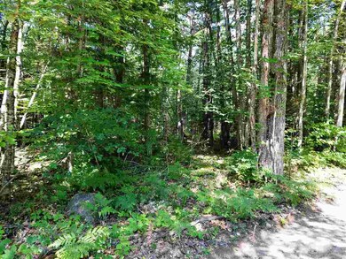 LOT 7+8 Susie Driscoll Rd, Campton, NH 03223 - photo 3