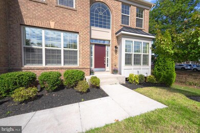 4706 Barnum Ln, Alexandria, VA 22312 - photo 3