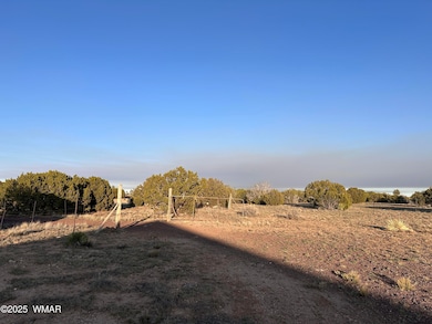 0 Cr 8051, Concho, AZ 85924 - photo 2