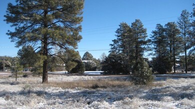 IMG_1939