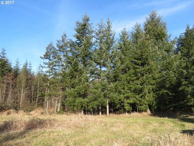 0 Cousins Rd unit 3 17223585, Chehalis, WA 98532 - photo 7