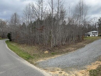 281 Ben Childs Rd, La Fayette, GA 30728 - photo 3