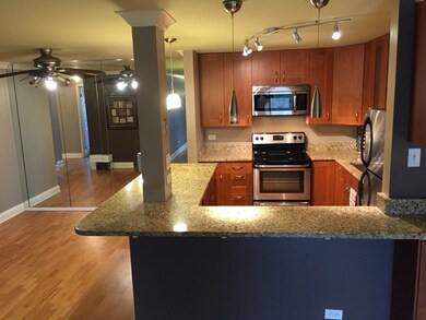 960 S River Rd unit 304, Des Plaines, IL 60016 - photo 7