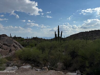 14934 N Slippery Ridge Loop unit Lot 419, Oro Valley, AZ 85755 - photo 7