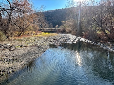 VL County Route 119 N, Cameron, NY 14819 - photo 4