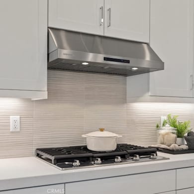 24520 Via El Balneario, Santa Clarita, CA 91354 - photo 3