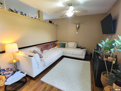 7324 State Route 161 Extension, Iuka, IL 62849 - photo 4