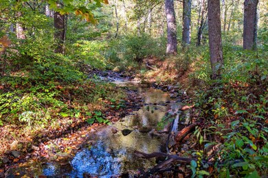 1788 Dellinger Gap Rd, Edinburg, VA 22824 - photo 6