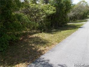 unlisted-address, Hernando, FL 34442 - photo 4