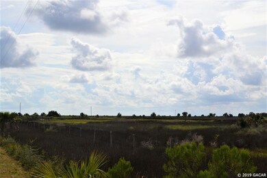 00 Yates Creek Rd, Perry, FL 32348 - photo 5