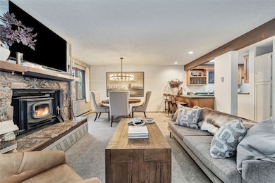 2617 Burgess Creek Rd unit A102, Steamboat Springs, CO 80487 - photo 7