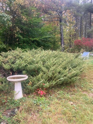 321 John Smith Hill Rd, Bristol, NH 03222 - photo 4