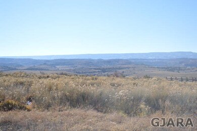 Just 20 minutes from Grand Junction, this beautifu