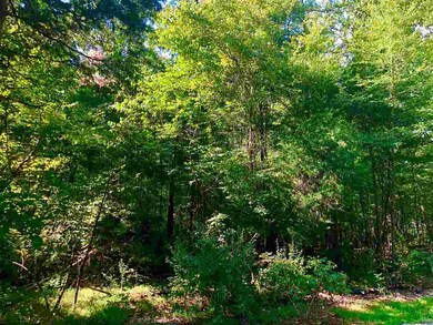 Lot 4 Arcadia Ln, Pittsboro, NC 27312 - photo 3