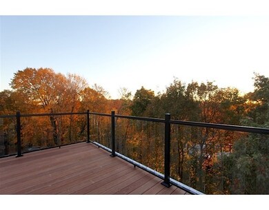 202 Rawson Rd unit 3, Brookline, MA 02445 - photo 7