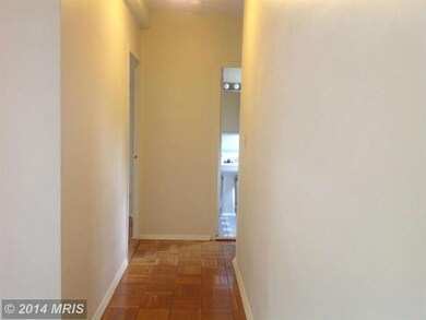 3251 Martha Custis Dr unit 847, Alexandria, VA 22302 - photo 5