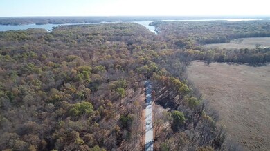 timber trail_drone-1