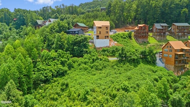 LOT 46 Pine Peak Way, Pigeon Forge, TN 37862 - photo 3