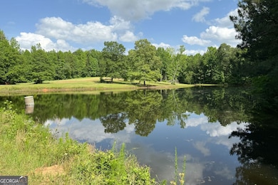 102 +/- ACRES - Old Zebulon Rd, Molena, GA 30258 - photo 4