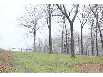 0 Bug Scuffle Rd unit 704270, West Fork, AR 72774 - photo 2
